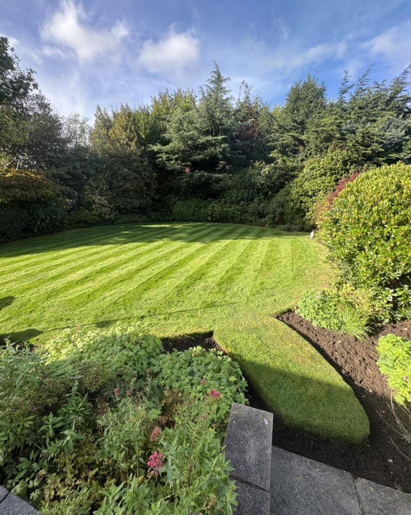 480801317 953909846844751 6877015559664426148 n